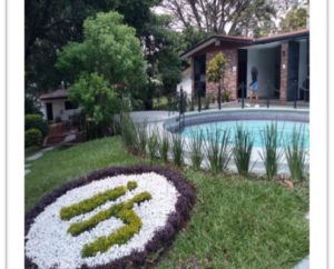 Imagen-6-495x400
