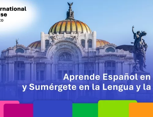 Aprende Español en México y Sumérgete en la Lengua y la Cultura