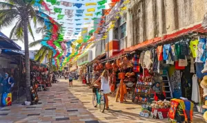Spanish courses in Riviera Maya